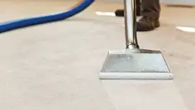 Carpet cleaning wand head gliding over a light carpet during hot-water extraction, Tacoma, WA.