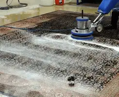 Professional rug cleaning with a rotary floor machine and shampoo foam, deep-cleaning an area rug, in Tacoma, WA.